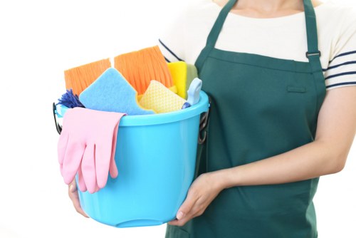 Secure payment section for Haringey Cleaner with encrypted checkout