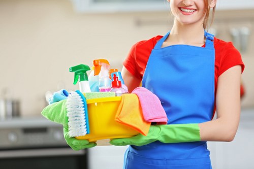 Illustration of website cookies and browser settings for Haringey Cleaner