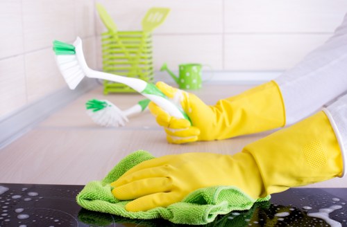 Haringey cleaner providing careful cleaning in a home environment