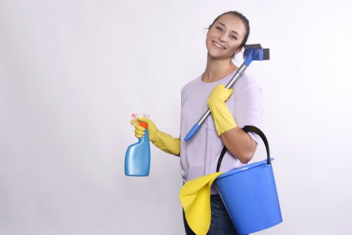 Kitchen cleaning routine in Haringey