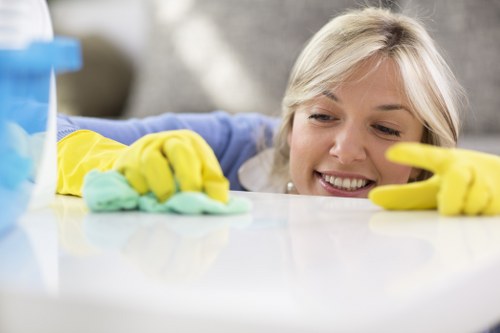 One off cleaning team dusting and sanitising a home interior