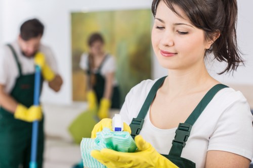 Kitchen and bathroom domestic cleaning in a Haringey household