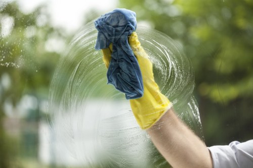 Domestic cleaning support for a home in Haringey