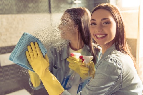 Eco-friendly home cleaning supplies in Haringey