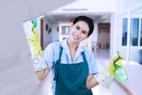 Cleaning supplies used by office cleaners in Haringey for office maintenance