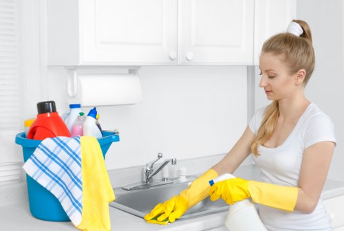 Bathroom sanitising during end of tenancy cleaning in Haringey